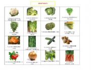 English worksheet: VEGETABLES