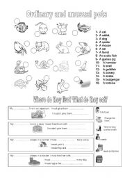 English Worksheet: pets and what they eat
