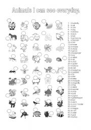English Worksheet: animals I can see everyday