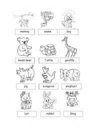 English Worksheet: Animals1