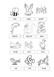 English Worksheet: Animals2