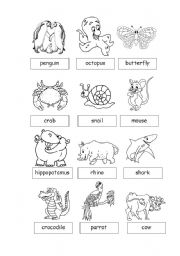 English Worksheet: Animals3