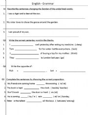 English worksheet: English Grammar