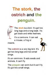 English Worksheet: The stork, the ostrich and the penguin.