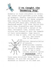 English Worksheet: Geometry Bug lesson
