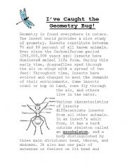 English worksheet: Geometry Bug lesson