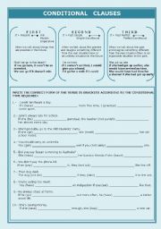 English Worksheet: Conditional Clauses