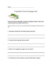 English Worksheet: Rain Forest Scavenger Hunt