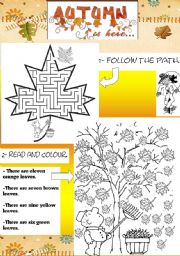 English Worksheet: Autumn