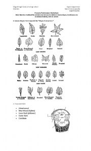 English worksheet: Forestry technicians Worsheet