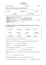 English Worksheet: A VOCABULARY QUIZ for 11th class