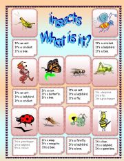 English Worksheet: Insects