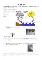 English Worksheet: Water Cycle