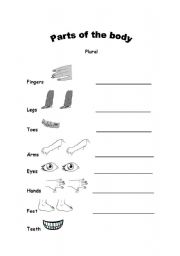 English worksheet: parts of the body
