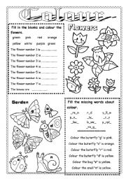 English Worksheet: Colour