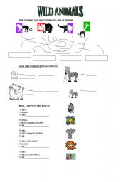 English worksheet: WILD ANIMALS