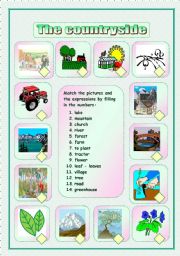 English Worksheet: The countryside