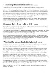 English Worksheet: Article