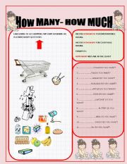 English Worksheet: how much-how many