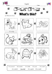 English Worksheet: Pets 