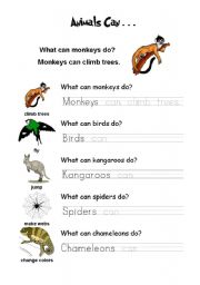 English Worksheet: animals can