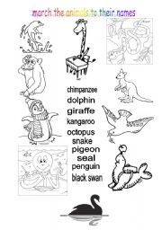 English worksheet: march the animals to their names