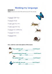 English Worksheet: Bugs