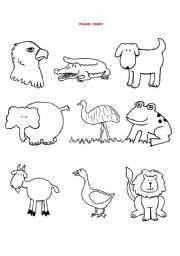 English worksheet: SOME ANIMALS