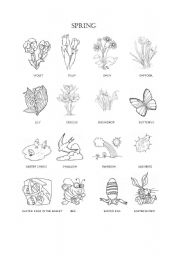 English Worksheet: Spring