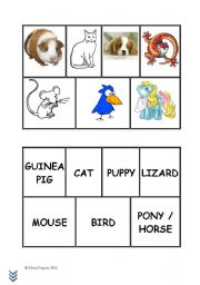 English worksheet: Pets Bingo cards