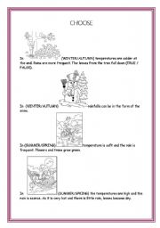 English worksheet: weather and seasons