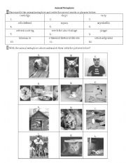 English worksheet: Animal Metaphors