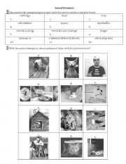 English Worksheet: Animal Metaphors