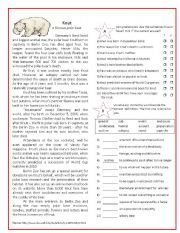 English Worksheet: Knut - a famous polar bear