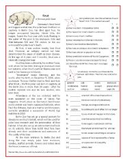 English Worksheet: Knut - a famous polar bear