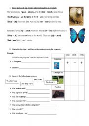 English worksheet: Animals