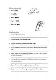 English worksheet: Description of Wind