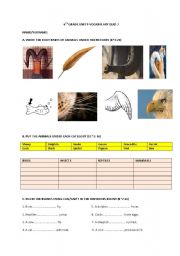 English worksheet: Animal Types and Body Parts Quiz