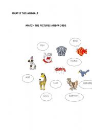 English worksheet: animal