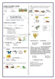 English Worksheet: Animals-test