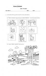 English Worksheet: Living Things and Inert Objects 