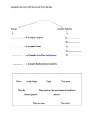 English worksheet: Living things: Groups & common features