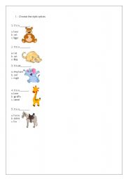 English worksheet: Animal