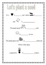 English Worksheet: Lets plant a seed!
