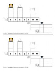 Crossword: Parts of the face