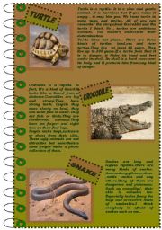 English Worksheet: READING COMPREHENSION about reptiles (version 1)