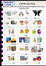 English Worksheet: opposites