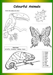 English Worksheet: Colour by Numbers: Colourful Animals