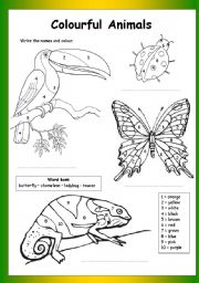 Colour by Numbers: Colourful Animals