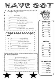 English Worksheet: HAVE GOT